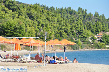 Skioni en Nea Skioni | Kassandra Chalkidiki | Griekenland 12 - Foto van https://www.grieksegids.nl/fotos/kassandra-chalkidiki/normaal/kassandra-chalkidiki-165.jpg