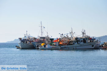 Skioni en Nea Skioni | Kassandra Chalkidiki | Griekenland 18 - Foto van https://www.grieksegids.nl/fotos/kassandra-chalkidiki/normaal/kassandra-chalkidiki-171.jpg