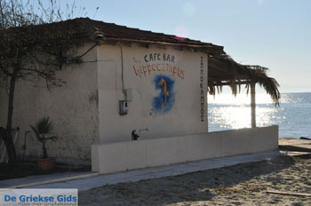 Skala Fourka en Fourka | Kassandra Chalkidiki | Griekenland 10 - Foto van https://www.grieksegids.nl/fotos/kassandra-chalkidiki/normaal/kassandra-chalkidiki-202.jpg