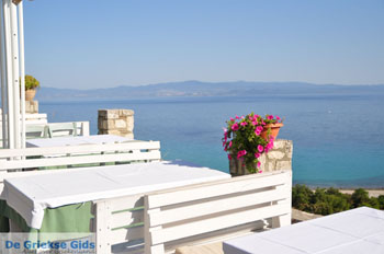 Afytos (Athytos) | Kassandra Chalkidiki | Griekenland 33 - Foto van https://www.grieksegids.nl/fotos/kassandra-chalkidiki/normaal/kassandra-chalkidiki-268.jpg