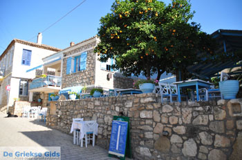 Afytos (Athytos) | Kassandra Chalkidiki | Griekenland 47 - Foto van https://www.grieksegids.nl/fotos/kassandra-chalkidiki/normaal/kassandra-chalkidiki-282.jpg