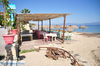 Nea Fokea | Kassandra Chalkidiki | Griekenland 17 - Foto van https://www.grieksegids.nl/fotos/kassandra-chalkidiki/normaal/kassandra-chalkidiki-316.jpg