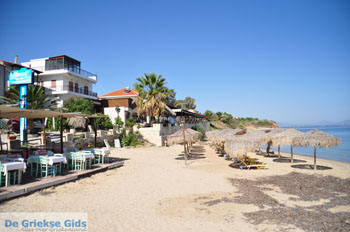 Nea Fokea | Kassandra Chalkidiki | Griekenland 19 - Foto van https://www.grieksegids.nl/fotos/kassandra-chalkidiki/normaal/kassandra-chalkidiki-318.jpg