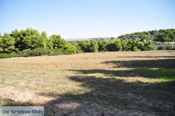 Sani | Kassandra Chalkidiki | Griekenland 3 - Foto van https://www.grieksegids.nl/fotos/kassandra-chalkidiki/normaal/kassandra-chalkidiki-327.jpg