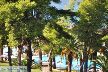 Sani | Kassandra Chalkidiki | Griekenland 13 - Foto van https://www.grieksegids.nl/fotos/kassandra-chalkidiki/normaal/kassandra-chalkidiki-337.jpg