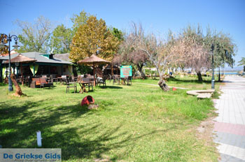 Nea Potidea | Kassandra Chalkidiki | Griekenland 7 - Foto van https://www.grieksegids.nl/fotos/kassandra-chalkidiki/normaal/kassandra-chalkidiki-344.jpg