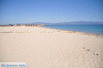 Nea Potidea | Kassandra Chalkidiki | Griekenland 11 - Foto van https://www.grieksegids.nl/fotos/kassandra-chalkidiki/normaal/kassandra-chalkidiki-348.jpg