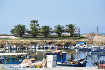 Nea Potidea | Kassandra Chalkidiki | Griekenland 29 - Foto van De Griekse Gids