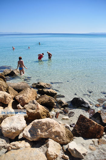 Afytos (Athytos) | Kassandra Chalkidiki | Griekenland 67 - Foto van https://www.grieksegids.nl/fotos/kassandra-chalkidiki/normaal/kassandra-chalkidiki-369.jpg