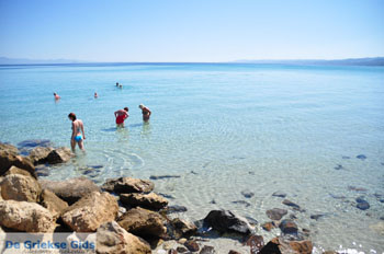 Afytos (Athytos) | Kassandra Chalkidiki | Griekenland 68 - Foto van https://www.grieksegids.nl/fotos/kassandra-chalkidiki/normaal/kassandra-chalkidiki-370.jpg