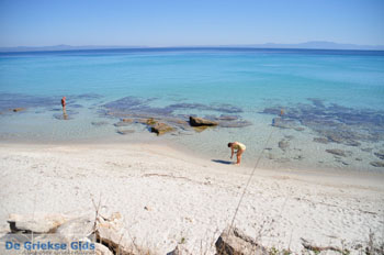 Afytos (Athytos) | Kassandra Chalkidiki | Griekenland 74 - Foto van https://www.grieksegids.nl/fotos/kassandra-chalkidiki/normaal/kassandra-chalkidiki-376.jpg