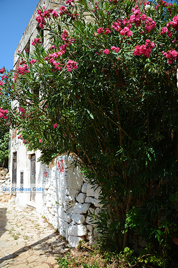 Megisti Kastelorizo - Eiland Kastelorizo Dodecanese - Foto 131 - Foto van https://www.grieksegids.nl/fotos/kastelorizo/350/eiland-kastelorizo-131.jpg