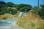 Onderweg naar Kato Meria | Kea (Tzia) foto 7 - Foto van De Griekse Gids