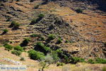 GriechenlandWeb Bergpad-wandelpad naar Karthaia | Kato Meria | Kea (Tzia) 13 - Foto GriechenlandWeb.de