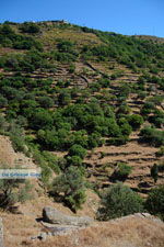 Ioulida (Ioulis of Chora) | Kea (Tzia) | Griekenland 67 - Foto van De Griekse Gids