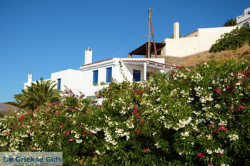Vourkari | Kea (Tzia) | Griekenland foto 1 - Foto van https://www.grieksegids.nl/fotos/kea-tzia/normaal/kea-tzia-griekenland-071.jpg