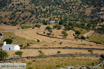 Onderweg naar Kato Meria | Kea (Tzia) foto 2 - Foto van https://www.grieksegids.nl/fotos/kea-tzia/normaal/kea-tzia-griekenland-237.jpg