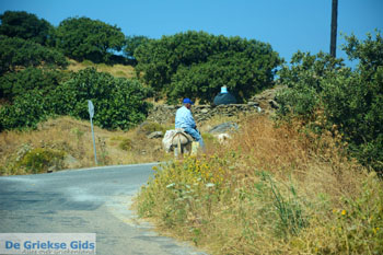 Onderweg naar Kato Meria | Kea (Tzia) foto 7 - Foto van https://www.grieksegids.nl/fotos/kea-tzia/normaal/kea-tzia-griekenland-242.jpg
