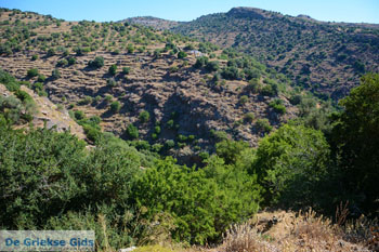 Bergpad-wandelpad naar Karthaia | Kato Meria | Kea (Tzia) 3 - Foto van https://www.grieksegids.nl/fotos/kea-tzia/normaal/kea-tzia-griekenland-249.jpg