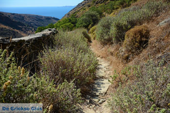 Bergpad-wandelpad naar Karthaia | Kato Meria | Kea (Tzia) 6 - Foto van https://www.grieksegids.nl/fotos/kea-tzia/normaal/kea-tzia-griekenland-252.jpg