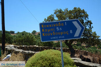 Onderweg naar Koundouros | Kea (Tzia) | Griekenland 1 - Foto van https://www.grieksegids.nl/fotos/kea-tzia/normaal/kea-tzia-griekenland-324.jpg