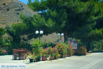 Pisses | Kea (Tzia) | Griekenland 11 - Foto van https://www.grieksegids.nl/fotos/kea-tzia/normaal/kea-tzia-griekenland-372.jpg