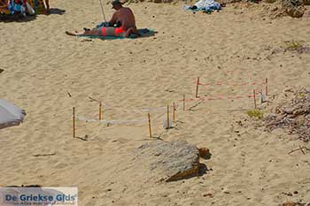 Makris Gialos strand in Lassi Kefalonia - 5 - Foto van https://www.grieksegids.nl/fotos/kefalonia/350pix/lassi-kefalonia-005.jpg