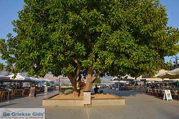 Lixouri Kefalonia - 25 - Foto van https://www.grieksegids.nl/fotos/kefalonia/350pix/lixouri-kefalonia-025.jpg