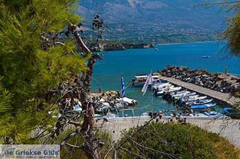 Pesada Kefalonia - 10 - Foto van https://www.grieksegids.nl/fotos/kefalonia/350pix/pesada-kefalonia-010.jpg