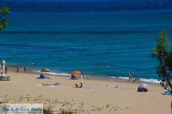 Skala Kefalonia - 15 - Foto van https://www.grieksegids.nl/fotos/kefalonia/350pix/skala-kefalonia-015.jpg