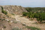 GriechenlandWeb Kiato - Sykiona | Korinthe  Peloponessos | Foto 70 - Foto Marcel Fens