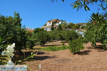 Psathi Kimolos | Cycladen Griekenland | foto 75 - Foto van https://www.grieksegids.nl/fotos/kimolos/normaal/kimolos-grieksegids-075.jpg
