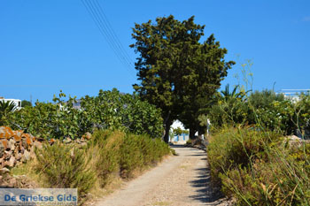 Kimolos dorp | Cycladen Griekenland | foto 81 - Foto van https://www.grieksegids.nl/fotos/kimolos/normaal/kimolos-grieksegids-081.jpg