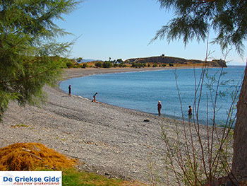 Agios Fokas Kos Dodecanese - De Griekse Gids Foto 9 - Foto van https://www.grieksegids.nl/fotos/kos/agios-fokas/normaal/agios-fokas-kos-09.jpg