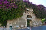 Kos stad - Eiland Kos - Griekse Gids - Muur met bloemen, bougainville in Kos stad - Foto van De Griekse Gids