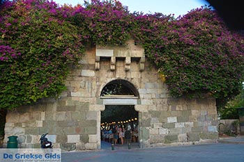 Kos stad - Eiland Kos - Griekse Gids Foto 12 - Foto van https://www.grieksegids.nl/fotos/kos/kos-stad/normaal/kos-stad-012.jpg