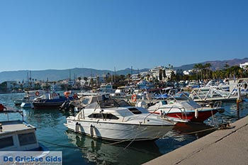 Kos stad - Eiland Kos - Griekse Gids Foto 19 - Foto van https://www.grieksegids.nl/fotos/kos/kos-stad/normaal/kos-stad-019.jpg