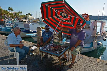 Kos stad - Eiland Kos - Griekse Gids Foto 20 - Foto van https://www.grieksegids.nl/fotos/kos/kos-stad/normaal/kos-stad-020.jpg