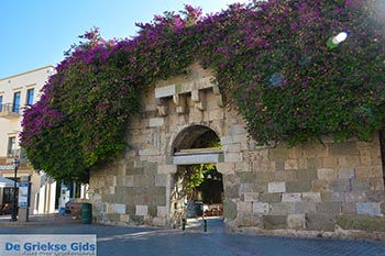 Kos stad - Eiland Kos - Griekse Gids Foto 39 - Foto van https://www.grieksegids.nl/fotos/kos/kos-stad/normaal/kos-stad-039.jpg