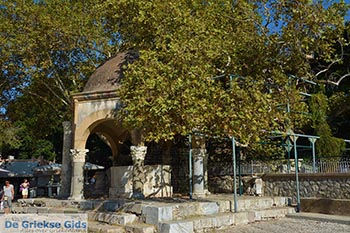 Kos stad - Eiland Kos - Griekse Gids Foto 49 - Foto van https://www.grieksegids.nl/fotos/kos/kos-stad/normaal/kos-stad-049.jpg