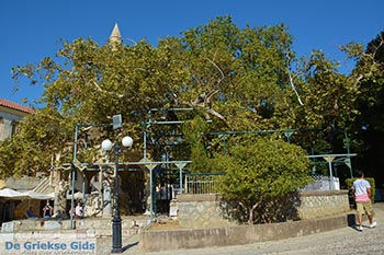 Kos stad - Eiland Kos - Griekse Gids Foto 50 - Foto van https://www.grieksegids.nl/fotos/kos/kos-stad/normaal/kos-stad-050.jpg