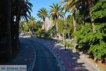 Kos stad - Eiland Kos - Griekse Gids  - Palmbomenlaan in Kos-stad - Foto van https://www.grieksegids.nl/fotos/kos/kos-stad/normaal/kos-stad-053.jpg