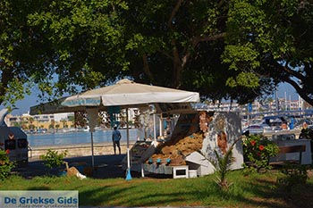 Kos stad - Eiland Kos - Griekse Gids Foto 77 - Foto van https://www.grieksegids.nl/fotos/kos/kos-stad/normaal/kos-stad-077.jpg