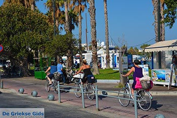 Kos stad - Eiland Kos - Griekse Gids Foto 78 - Foto van https://www.grieksegids.nl/fotos/kos/kos-stad/normaal/kos-stad-078.jpg