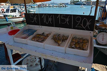 Kos stad - Eiland Kos - Griekse Gids Foto 83 - Foto van https://www.grieksegids.nl/fotos/kos/kos-stad/normaal/kos-stad-083.jpg