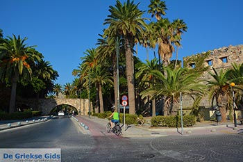 Kos stad - Eiland Kos - Griekse Gids Foto 87 - Foto van https://www.grieksegids.nl/fotos/kos/kos-stad/normaal/kos-stad-087.jpg