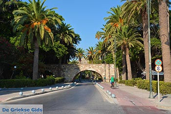 Kos stad - Eiland Kos - Griekse Gids Foto 88 - Foto van https://www.grieksegids.nl/fotos/kos/kos-stad/normaal/kos-stad-088.jpg
