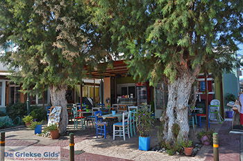 Marmari Kos - Eiland Kos foto 24 - Foto van https://www.grieksegids.nl/fotos/kos/marmari/normaal/marmari-kos-024.jpg