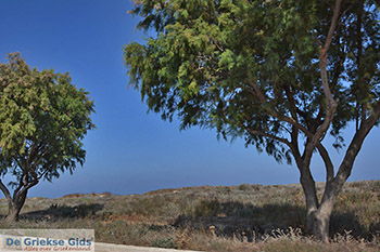 Marmari Kos - Eiland Kos foto 30 - Foto van https://www.grieksegids.nl/fotos/kos/marmari/normaal/marmari-kos-030.jpg