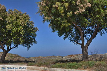 Marmari Kos - Eiland Kos foto 31 - Foto van https://www.grieksegids.nl/fotos/kos/marmari/normaal/marmari-kos-031.jpg